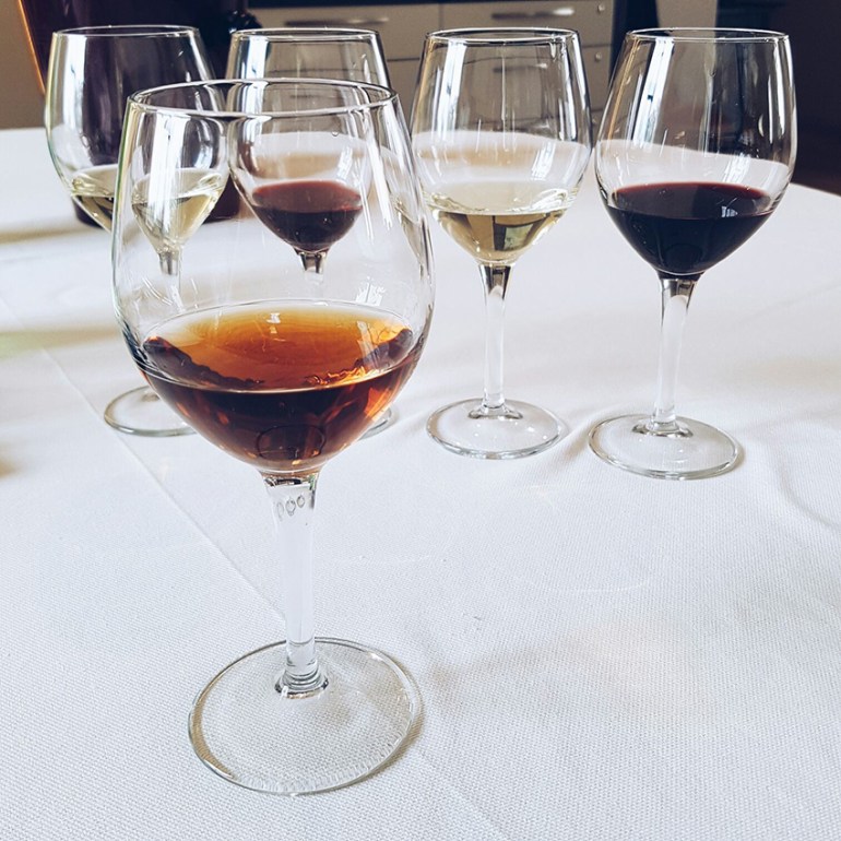 corso_degustazione_vini_gola_gola_festival